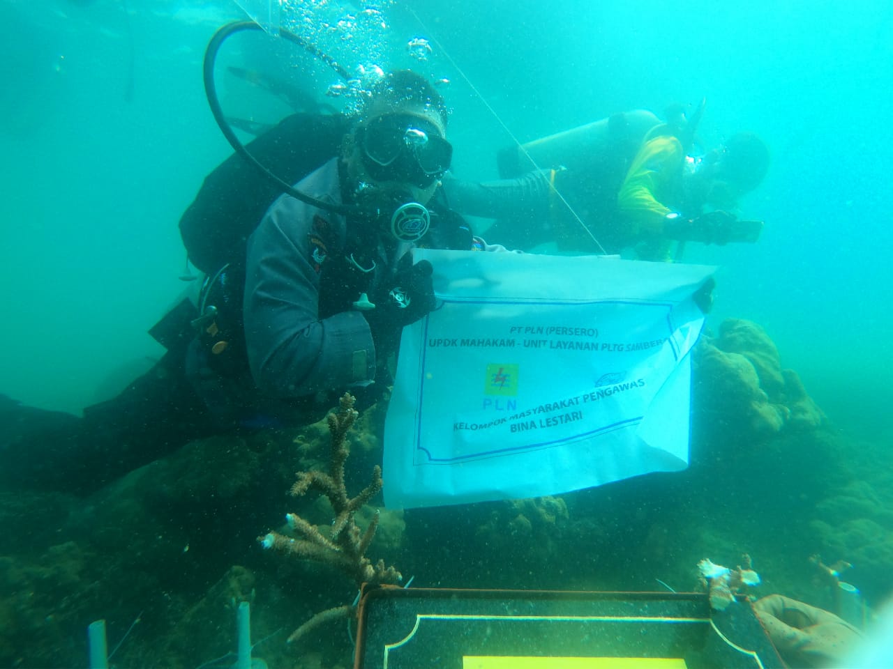 Restorasi Ekosistem Laut Muara Badak, PLN Indonesia Power Tingkatkan Kunjungan Wisatawan