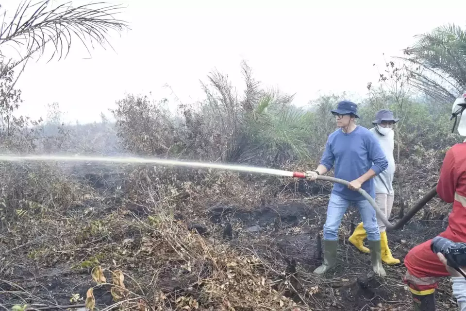 TOP! Kementerian LHK Apresiasi PLN IP Atasi Bencana Kebakaran Hutan