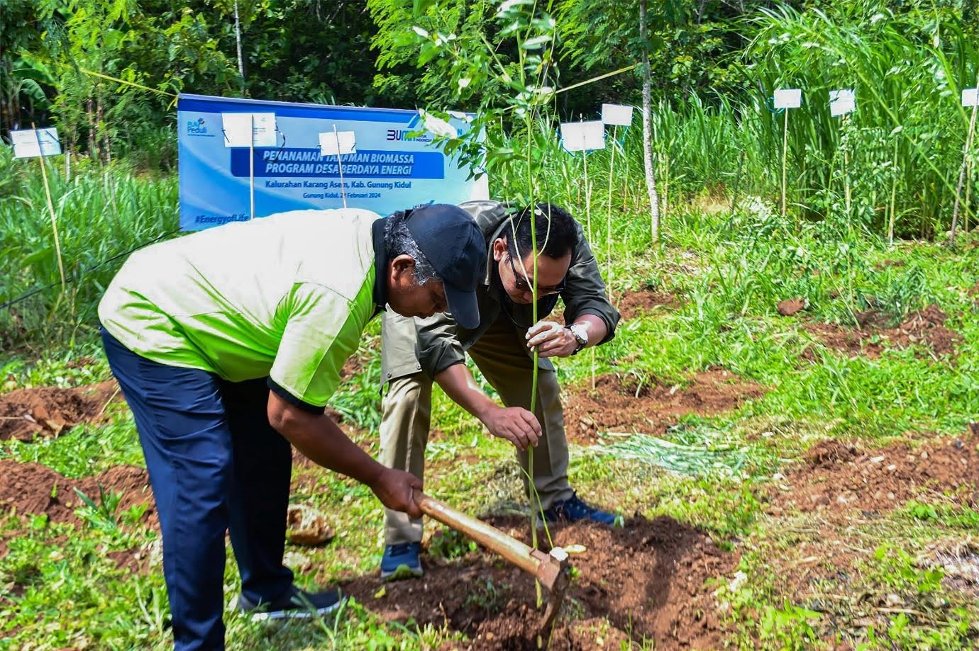 Wujudkan Ekonomi Kerakyatan, PLN EPI  Tanam 100.000 Bibit  Tanaman Energi di Gunung Kidul Untuk Program Biomassa