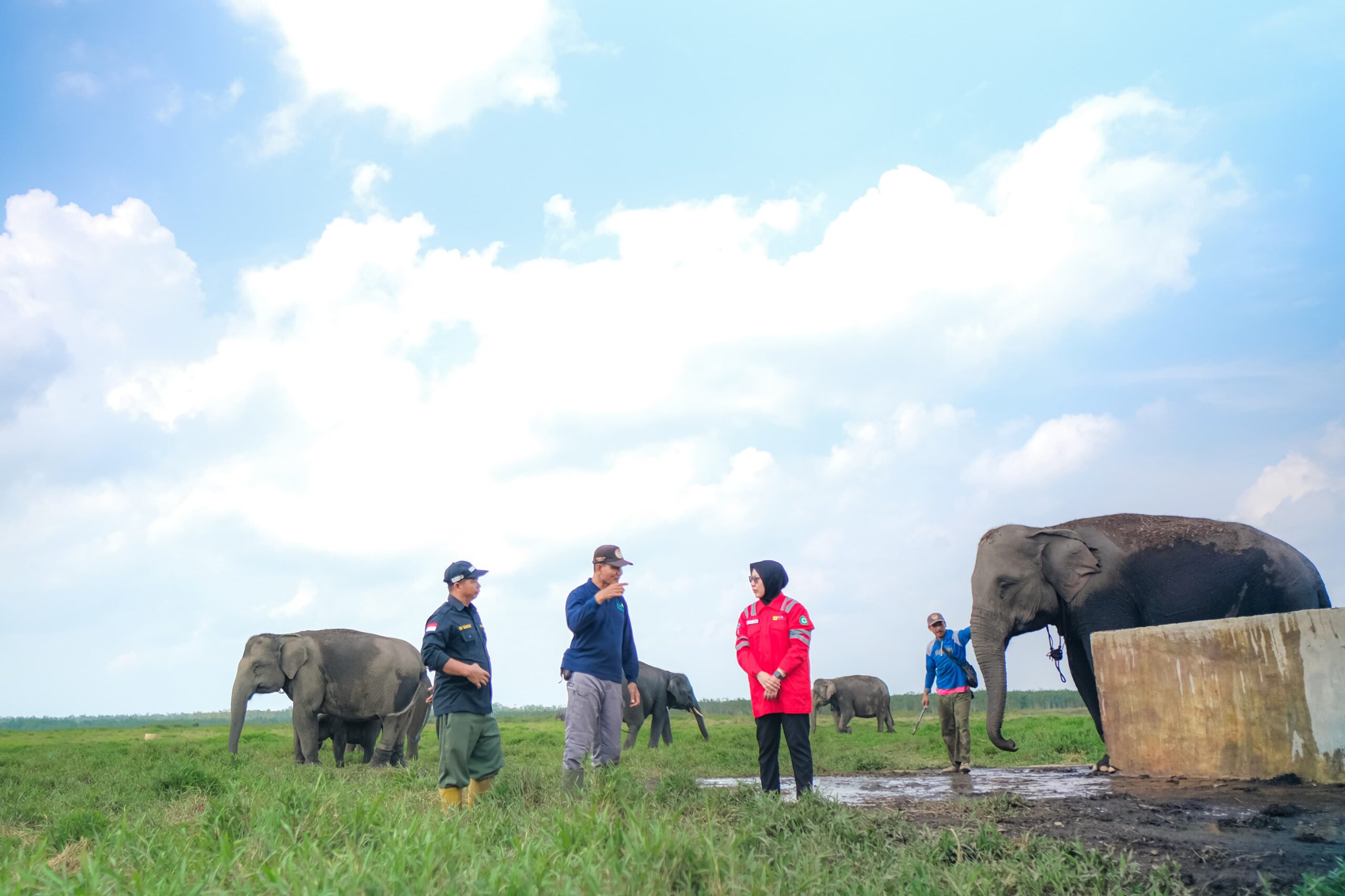 PLN Indonesia Power Menguatkan Pelestarian Gajah Sumatra dengan Dukungan Prasarana Patroli