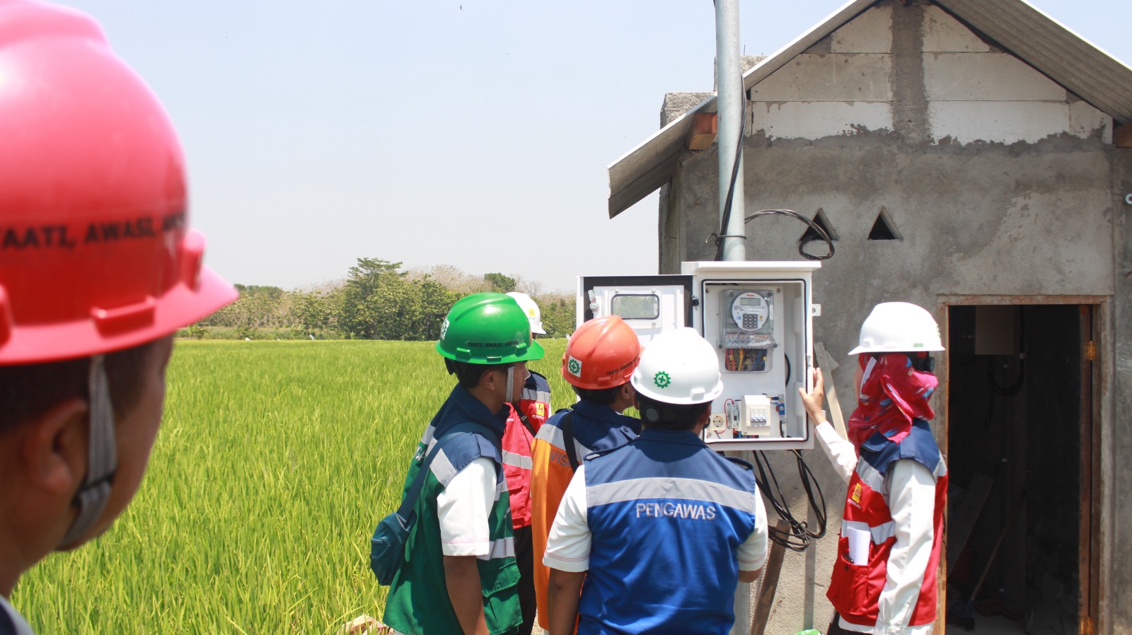 Panen Raya Sukses, Program Electrifying Agriculture PLN Mampu Tingkatkan Produktivitas Pertanian Padi di Ponorogo