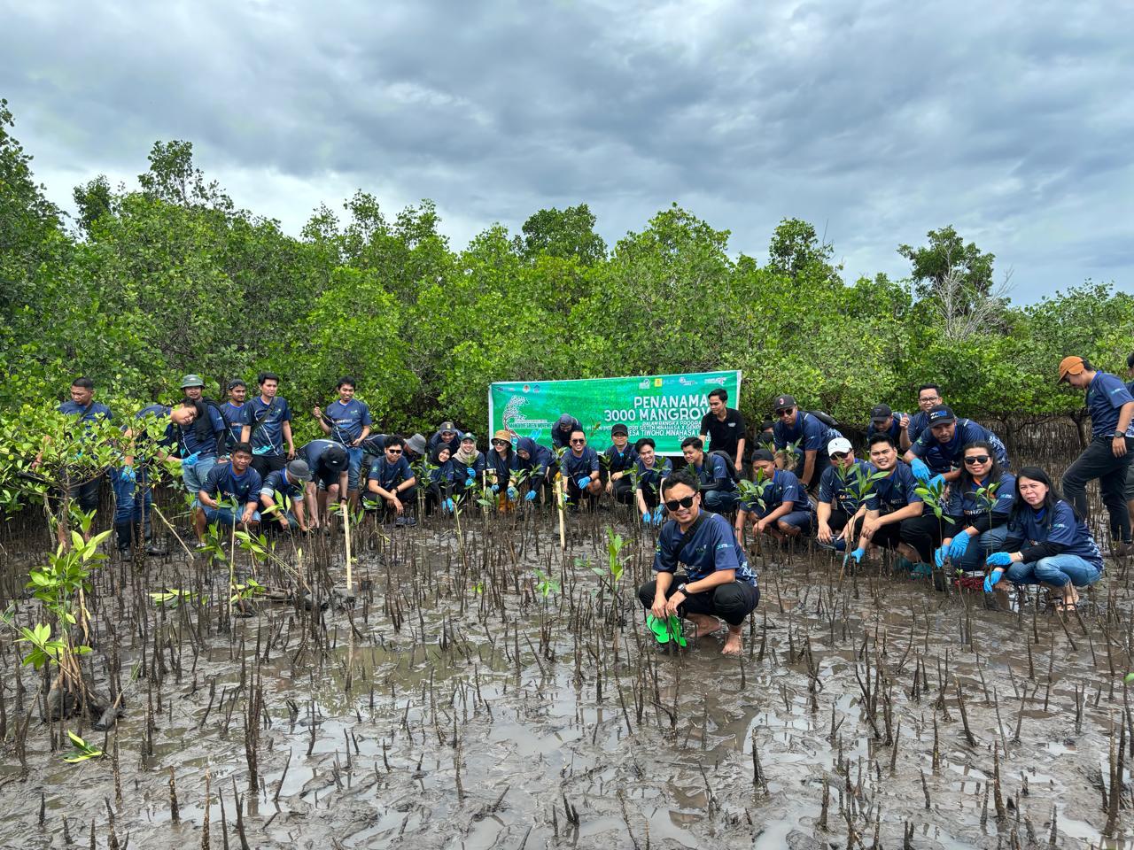 Peringati Hari Lingkungan Hidup Sedunia, PLN Tanam 3.000 Mangrove di Pesisir Sulawesi Utara